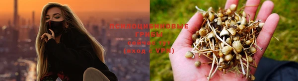 герыч Абаза