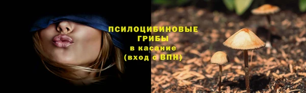 герыч Абаза