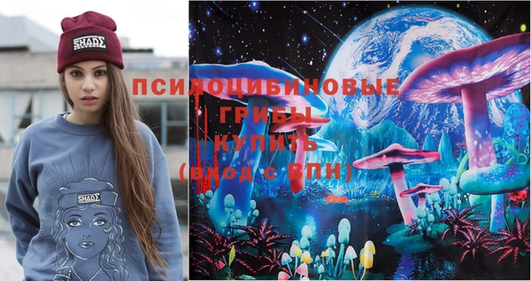 крисы Абинск