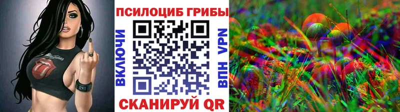 Галлюциногенные грибы MAGIC MUSHROOMS  где продают наркотики  Заринск 