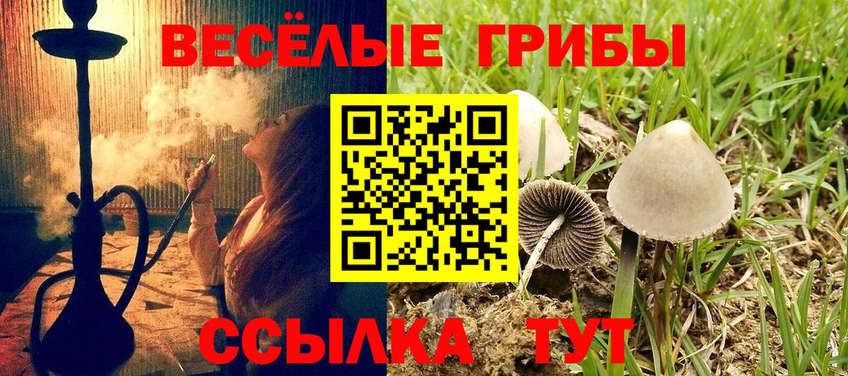 Заринск  Галлюциногенные грибы мухоморы  Вход с VPN 