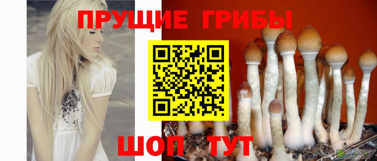 Галлюциногенные грибы мухоморы Заринск